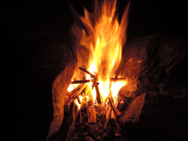 夜は夕方の大雨で濡れた木枝で焚き火。 なかなか火が安定せずに隣のキャンパーに乾いた薪を分けてもらう(^_^;